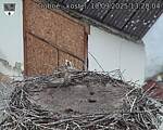 Capi_Dubne_20250910_132004.jpg