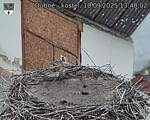 Capi_Dubne_20250910_134002.jpg