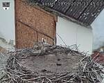 Capi_Dubne_20250910_134504.jpg