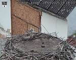 Capi_Dubne_20250910_141003.jpg