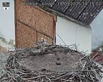 Capi_Dubne_20250910_141502.jpg