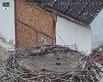 Capi_Dubne_20250910_142503.jpg