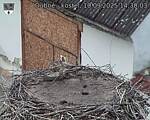 Capi_Dubne_20250910_143003.jpg