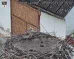Capi_Dubne_20250910_143502.jpg