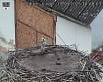 Capi_Dubne_20250910_144003.jpg