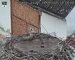 Capi_Dubne_20250910_145004.jpg