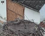 Capi_Dubne_20250910_150003.jpg
