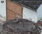 Capi_Dubne_20250910_151002.jpg