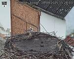Capi_Dubne_20250910_152003.jpg