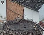 Capi_Dubne_20250910_152503.jpg