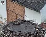 Capi_Dubne_20250910_163004.jpg