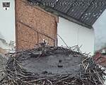 Capi_Dubne_20250910_165003.jpg