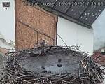 Capi_Dubne_20250910_173003.jpg