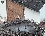 Capi_Dubne_20250910_181003.jpg