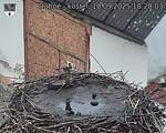 Capi_Dubne_20250910_182003.jpg
