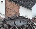 Capi_Dubne_20250910_184003.jpg