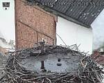 Capi_Dubne_20250910_185502.jpg