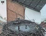 Capi_Dubne_20250910_192002.jpg