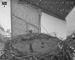 Capi_Dubne_20250910_193503.jpg