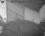 Capi_Dubne_20250910_194503.jpg
