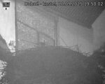 Capi_Dubne_20250910_195002.jpg