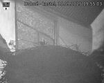 Capi_Dubne_20250910_195503.jpg