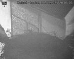 Capi_Dubne_20250910_200503.jpg