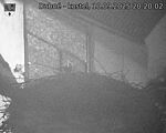 Capi_Dubne_20250910_202002.jpg