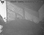 Capi_Dubne_20250910_202502.jpg