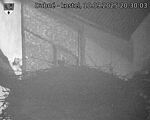 Capi_Dubne_20250910_203003.jpg