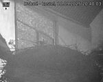 Capi_Dubne_20250910_204003.jpg