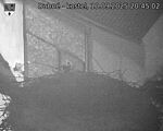 Capi_Dubne_20250910_204502.jpg