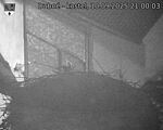 Capi_Dubne_20250910_210003.jpg