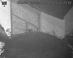 Capi_Dubne_20250910_212502.jpg