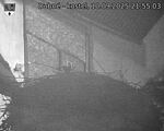 Capi_Dubne_20250910_215503.jpg