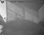 Capi_Dubne_20250910_222002.jpg