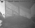 Capi_Dubne_20250910_230003.jpg