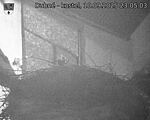 Capi_Dubne_20250910_230503.jpg