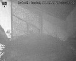 Capi_Dubne_20250911_000502.jpg