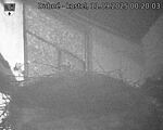 Capi_Dubne_20250911_002003.jpg
