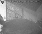 Capi_Dubne_20250911_050502.jpg
