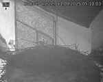 Capi_Dubne_20250911_051003.jpg