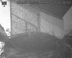 Capi_Dubne_20250911_055003.jpg