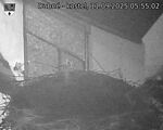 Capi_Dubne_20250911_055503.jpg