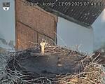 Capi_Dubne_20250911_074002.jpg
