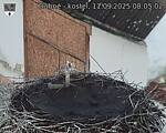 Capi_Dubne_20250911_080502.jpg