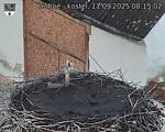 Capi_Dubne_20250911_081502.jpg