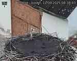 Capi_Dubne_20250911_083003.jpg