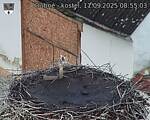 Capi_Dubne_20250911_085503.jpg