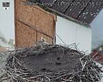 Capi_Dubne_20250911_115002.jpg